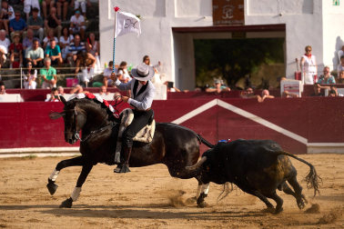 Fotos de la corrida mixta de fiestas de Estella
