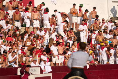 Fotos de la corrida mixta de fiestas de Estella