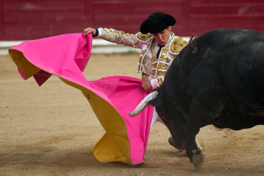 Fotos de la corrida mixta de fiestas de Estella