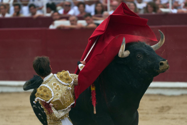 Fotos de la corrida mixta de fiestas de Estella