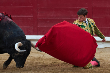 Fotos de la corrida mixta de fiestas de Estella