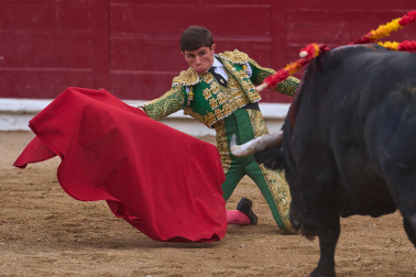 Fotos de la corrida mixta de fiestas de Estella