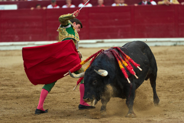 Fotos de la corrida mixta de fiestas de Estella