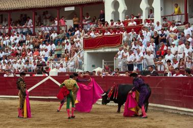 Fotos de la corrida mixta de fiestas de Estella