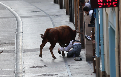 Fotos de la cogida a un mozo en el encierro de Estella el 4 de agosto 2026