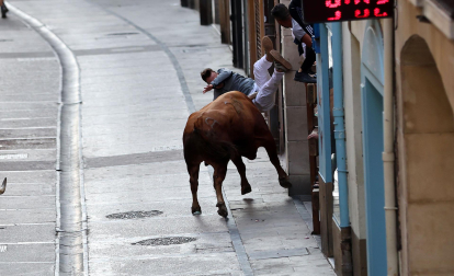 Fotos de la cogida a un mozo en el encierro de Estella el 4 de agosto 2026