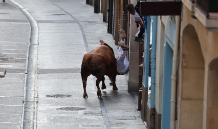Fotos de la cogida a un mozo en el encierro de Estella el 4 de agosto 2026