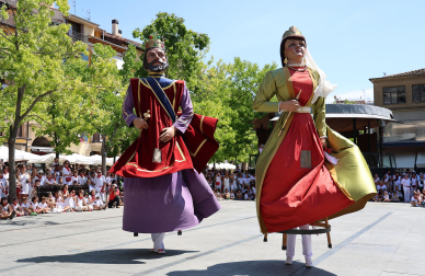 Fotos de la despedida de gigantes de fiestas de Estella