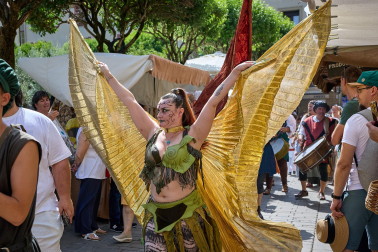 Fotos de la Feria Medieval de Olite 2026