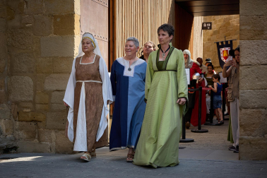 Fotos de la Feria Medieval de Olite 2026