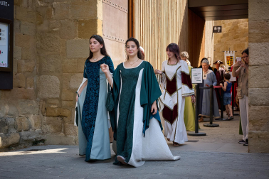 Fotos de la Feria Medieval de Olite 2026