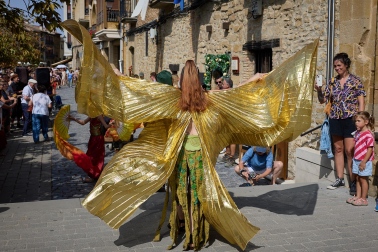 Fotos de la Feria Medieval de Olite 2026