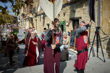 Fotos de la Feria Medieval de Olite 2026