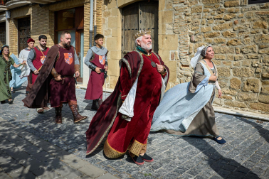Fotos de la Feria Medieval de Olite 2026