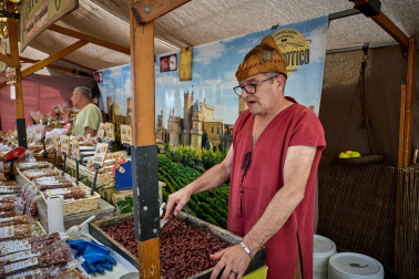 Fotos de la Feria Medieval de Olite 2026