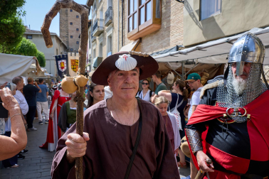Fotos de la Feria Medieval de Olite 2026