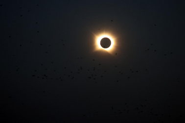 Fotos del eclipse solar en Lerín