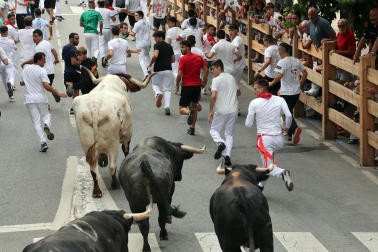 Fotos del primer encierro de las fiestas de Tafalla 2026