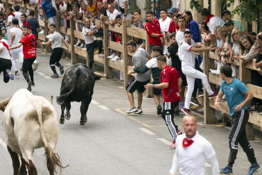 Fotos del primer encierro de las fiestas de Tafalla 2026