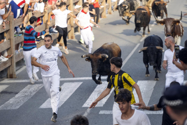 Fotos del segundo encierro de fiestas de Tafalla 2026