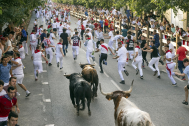 Fotos del segundo encierro de fiestas de Tafalla 2026