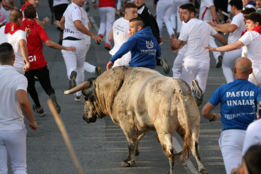 Fotos del segundo encierro de fiestas de Tafalla 2026