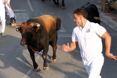 Fotos del segundo encierro de fiestas de Tafalla 2026