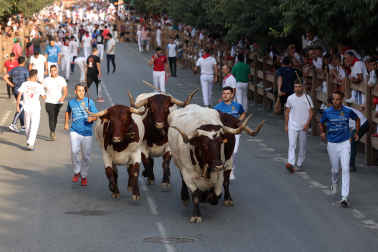 Fotos del segundo encierro de fiestas de Tafalla 2026