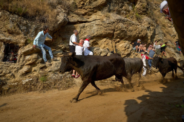 Fotos del primer encierro del Pilón de Falces 2026