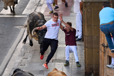 Fotos del segundo encierro de fiestas de Tafalla 2026