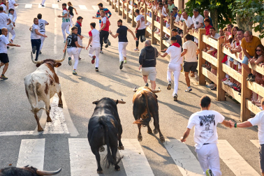 Fotos del segundo encierro de fiestas de Tafalla 2026