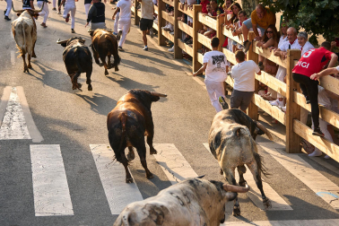 Fotos del segundo encierro de fiestas de Tafalla 2026