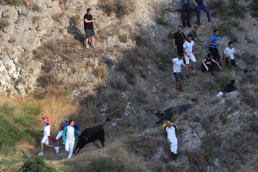 Fotos del primer encierro del Pilón de Falces 2026