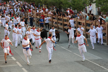 Fotos del segundo encierro de fiestas de Tafalla 2026