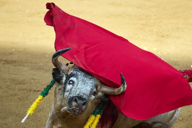 Segunda corrida de las fiestas de Tafalla 2026