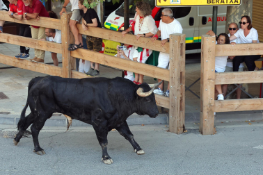 Fotos del tercer encierro de fiestas de Tafalla