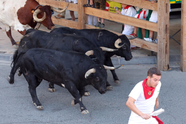 Fotos del tercer encierro de fiestas de Tafalla