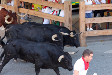 Fotos del tercer encierro de fiestas de Tafalla