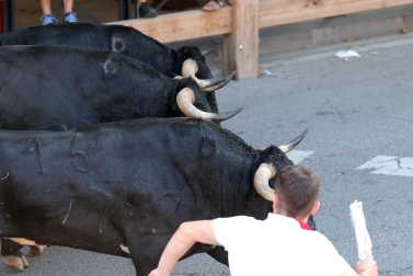 Fotos del tercer encierro de fiestas de Tafalla
