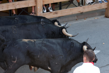 Fotos del tercer encierro de fiestas de Tafalla