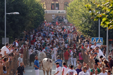 Fotos del tercer encierro de fiestas de Tafalla