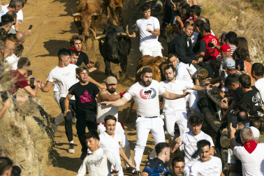 Fotos del segundo encierro del Pilón de Falces 2026
