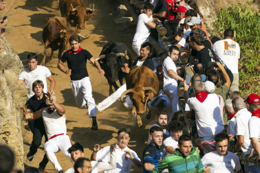 Fotos del segundo encierro del Pilón de Falces 2026