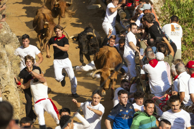 Fotos del segundo encierro del Pilón de Falces 2026
