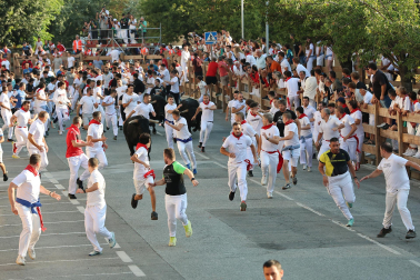 Fotos del tercer encierro de fiestas de Tafalla