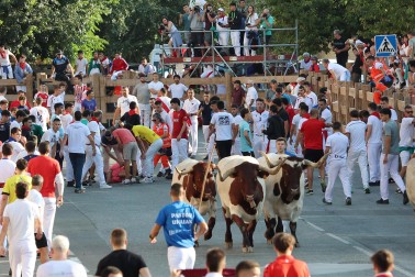 Fotos del tercer encierro de fiestas de Tafalla