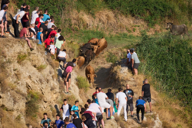Fotos del tercer encierro del Pilón en Falces 2026