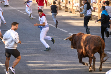 Fotos del cuarto encierro de Tafalla