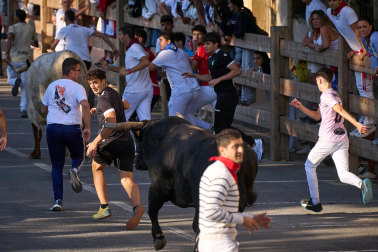 Fotos del cuarto encierro de Tafalla