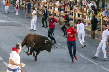 Tafalla